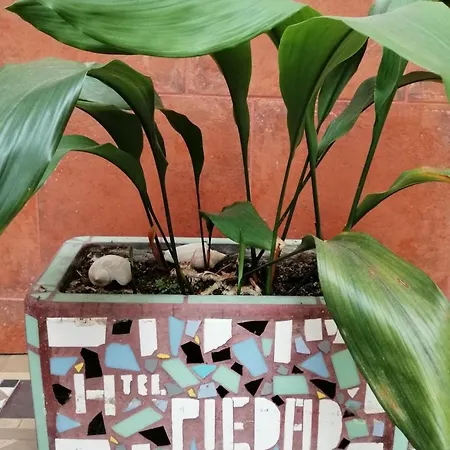 Hotel La Piedad-3